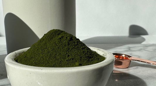 The Ultimate All-in-One Nutrition from Klebsormidium flaccidum var. ZL01