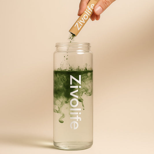 Gut First: How Zivolife Supports Absorption, Balance, and Whole-Body Health