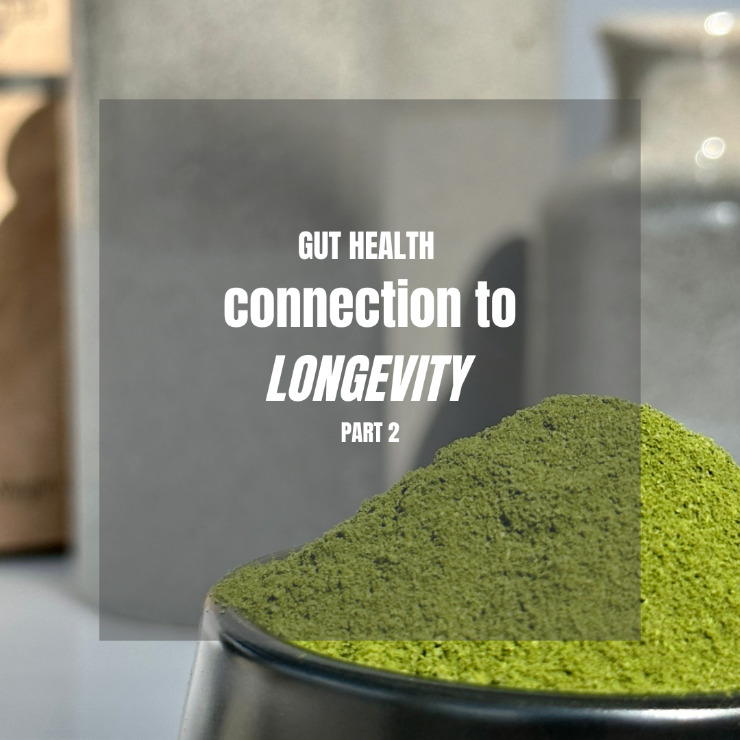 Gut Health: Connection to Longevity