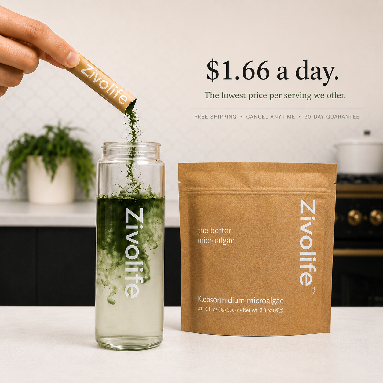 Zivolife Sticks, 3-Month Supply