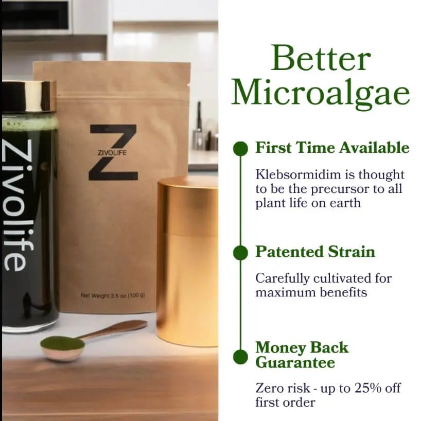Zivolife Zivolife